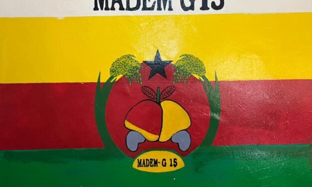 Fernando Gomes milita no Madem-G15.