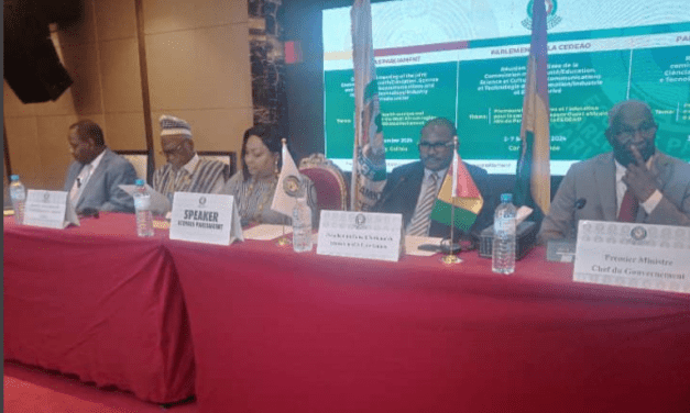 Reunião descentralizada da CEDEAO em Conacri: Promover políticas de saúde no espaço Oeste-Africano”