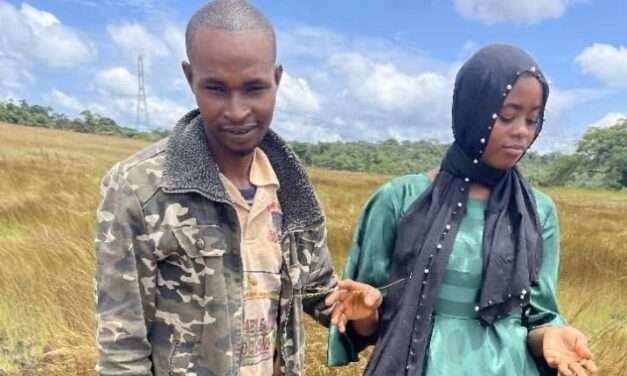 Após um mês de casamento, mulher esfaqueia marido até à morte