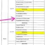 Frente Social condena grupo de professores que declarou apoio à reeleição de Embaló