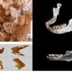 Fósseis humanos descobertos em Casablanca esclarecem um período-chave da evolução humana (fotos exclusivas)