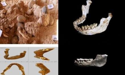 Fósseis humanos descobertos em Casablanca esclarecem um período-chave da evolução humana (fotos exclusivas)