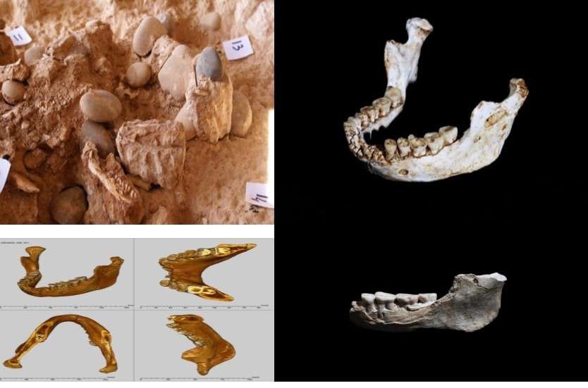 Fósseis humanos descobertos em Casablanca esclarecem um período-chave da evolução humana (fotos exclusivas)